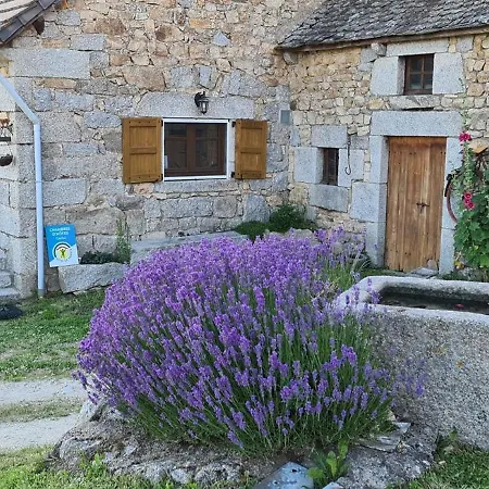 La Cantalienne Du Saladou 3*