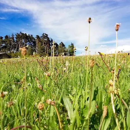 La Cantalienne Du Saladou 3*